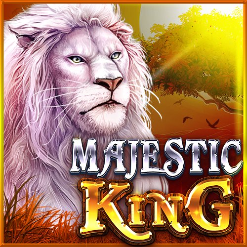 Como funciona o jogo do foguete